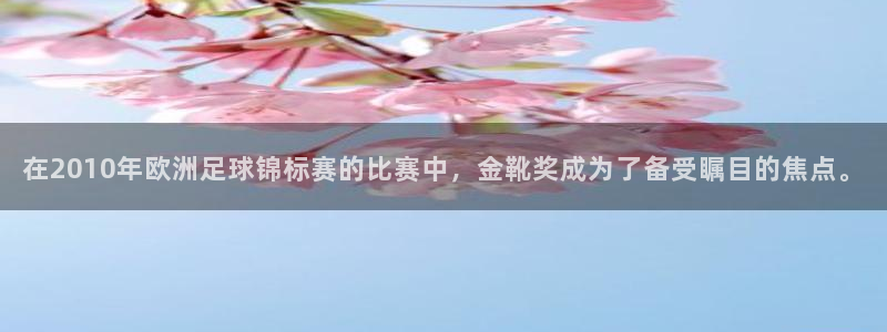 2026世界杯足球赛程时间表:在2010年欧洲足球锦标赛的比赛中,金靴奖成为了备受瞩目的焦点。