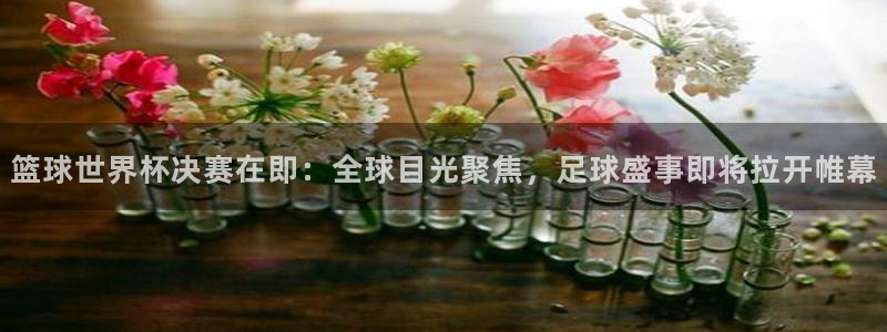 美洲杯直播:篮球世界杯决赛在即:全球目光聚焦,足球盛事即将拉开帷幕