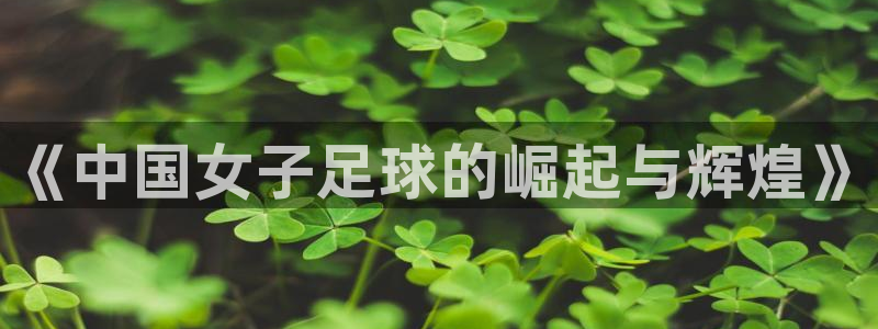 世界杯欧洲预选赛赛程:《中国女子足球的崛起与辉煌》
