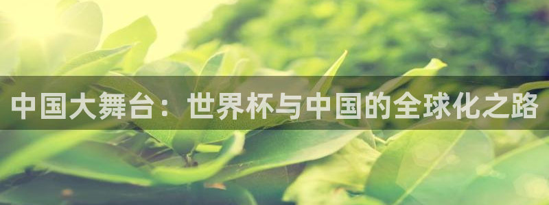 世界杯直播观看:中国大舞台:世界杯与中国的全球化之路