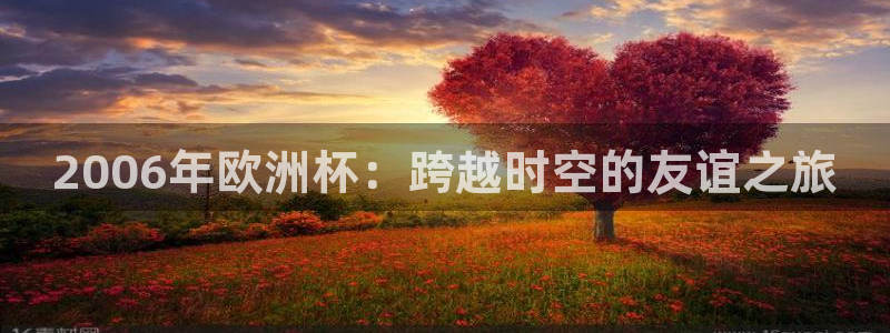 世界杯今年:2006年欧洲杯:跨越时空的友谊之旅