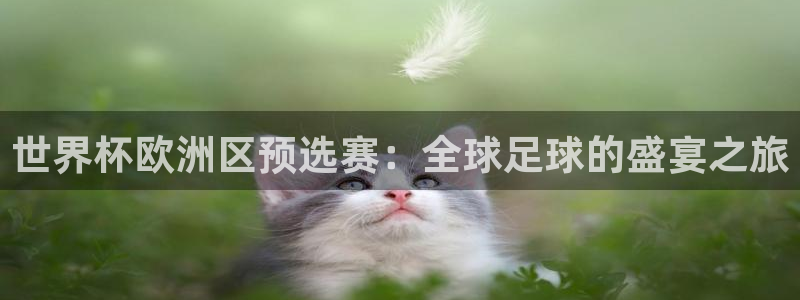 世界杯球赛:世界杯欧洲区预选赛:全球足球的盛宴之旅
