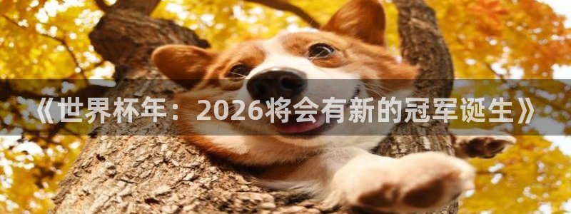 世界杯时间:《世界杯年:2026将会有新的冠军诞生》