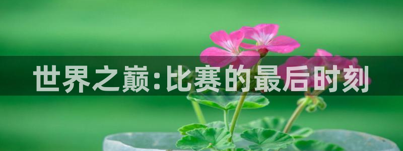 世界杯决赛圈球队:世界之巅:比赛的最后时刻